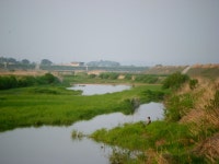 부여낚시프라자 통신원속보 > 부여금천수로 조황 : 낚시사랑