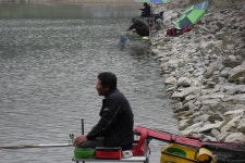 땅콩낚시 통신원속보 > 청양 매산지 조항정보 : 낚시사랑