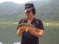 춘천강변낚시 통신원속보 > 소양호 추곡낚시터 와수인리 조황입니다. : 낚시사랑