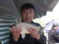 서산공림낚시 통신원속보 > 35cm~4짜까지 주말 천수만B지구 조황 : 낚시사랑