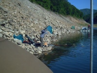 춘천강변낚시 통신원속보 > 소양댐 추곡낚시터 조황입니다~ : 낚시사랑