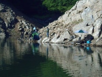 춘천강변낚시 통신원속보 > 소양댐 추곡낚시터 조황입니다~ : 낚시사랑