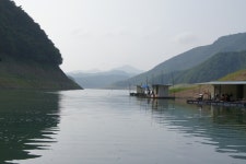 내사리사공 통신원속보 > 오랫만에 보는 충주호 마릿수와 덕곡리 .윤낚시. 늘푸른. 좌대조황정보 : 낚시사랑
