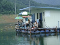 형제낚시 통신원속보 > 파로호권역별 조황과 춘천호 오월낚시터 소식 : 낚시사랑