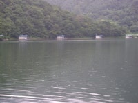 형제낚시 통신원속보 > 파로호권역별 조황과 춘천호 오월낚시터 소식 : 낚시사랑