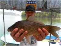 부여낚시프라자 통신원속보 > 반산지와 옥배수로 붕어 : 낚시사랑