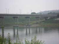 양주대물낚시 통신원속보 > 한탕강 임진강 : 낚시사랑