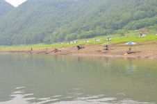 남한강낚시 통신원속보 > 명서리 붕어, 장어소식입니다. : 낚시사랑