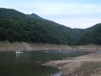 보사노바 통신원속보 > 용호리권 조황 : 낚시사랑