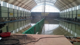 음성대호낚시 통신원속보 > 본죽 하우스낚시터. : 낚시사랑