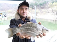춘천강변낚시 통신원속보 > 춘천댐에서도 월척 소식 고탄낚시터 조황입니다. : 낚시사랑
