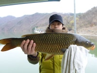 춘천강변낚시 통신원속보 > 춘천댐에서도 월척 소식 고탄낚시터 조황입니다. : 낚시사랑