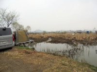 이박사낚시 통신원속보 > 월상둠벙 씨알에 마릿수조과... : 낚시사랑