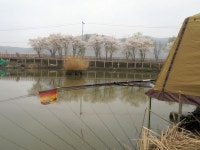 이박사낚시 통신원속보 > 월상둠벙 씨알에 마릿수조과... : 낚시사랑