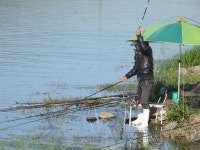 굿맨낚시 통신원속보 > 삼봉지,화곡지,중왕리를 돌아보았습니다. : 낚시사랑