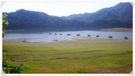 양구낚시 통신원속보 > 파로호 상류 월명리 상무룡 좌대 많은입질이...... : 낚시사랑