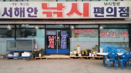 서해안낚시 통신원속보 > 평택호조황~ : 낚시사랑