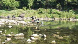 내사리사공 통신원속보 > 문골조황.달천강 허리급 : 낚시사랑
