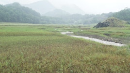 내사리사공 통신원속보 > 현재충주호상황 .매전지.저수지상황 : 낚시사랑