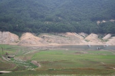 남한강낚시 통신원속보 > 목벌 4짜, 솔, 단돈낚시터 조황입니다. : 낚시사랑