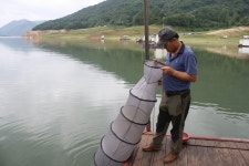 남한강낚시 통신원속보 > 목벌 4짜, 솔, 단돈낚시터 조황입니다. : 낚시사랑