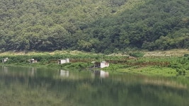 남한강낚시 통신원속보 > 솔 39cm, 하천 37cm 외 마릿수 월척, 명서, 꽃바위낚시터 소식입니다. : 낚시사랑