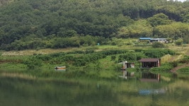 남한강낚시 통신원속보 > 솔 39cm, 하천 37cm 외 마릿수 월척, 명서, 꽃바위낚시터 소식입니다. : 낚시사랑