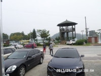 충주탄금호낚시 통신원속보 > 탄금호낚시조황 : 낚시사랑
