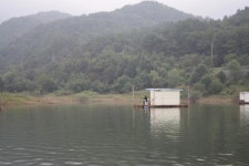 남한강낚시 통신원속보 > 솔낚시터 준 월척붕어 꾸준한 조황 ~~~ : 낚시사랑