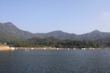 남한강낚시 통신원속보 > 솔 37cm 허리급, 후산 월척조황 ~~~ : 낚시사랑