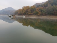 남한강낚시 통신원속보 > 솔 36cm 외 마릿수, 하천 준 월척 마릿수 조황 ~~~ : 낚시사랑