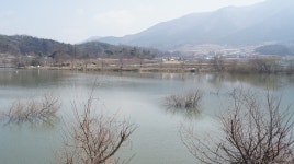 내사리사공 통신원속보 > 근처저수지.소류지.달천강 상황 : 낚시사랑