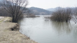 내사리사공 통신원속보 > 근처저수지.소류지.달천강 상황 : 낚시사랑