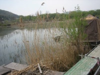 낚시사랑충주점 통신원속보 > 낚시사랑 충주점조황 : 낚시사랑