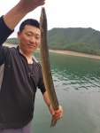 남한강낚시 통신원속보 > 목벌낚시터 월척붕어, 서유석 낚시터 키로급장어... : 낚시사랑