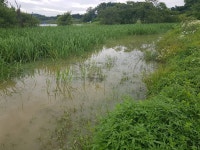 음성대호낚시 통신원속보 > 내곡지 새우낚시 : 낚시사랑