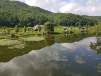 음성대호낚시 통신원속보 > 음성 원남지 : 낚시사랑