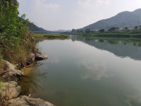 음성대호낚시 통신원속보 > 음성내곡지,괴산달천강 : 낚시사랑