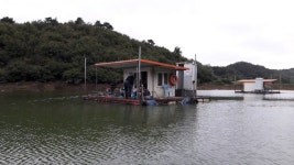 남한강낚시 통신원속보 > 하천낚시터 41, 40, 38cm 외 마릿수 ~~~ : 낚시사랑