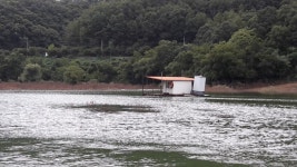 남한강낚시 통신원속보 > 하천낚시터 41, 40, 38cm 외 마릿수 ~~~ : 낚시사랑