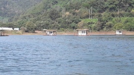 남한강낚시 통신원속보 > 서운리 솔, 하천 허리급 붕어, 꽃바위 장어 마릿수 .... : 낚시사랑