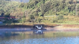 남한강낚시 통신원속보 > 하천 39cm 준 월척, 서운리 솔 준 월척조황 ~~~ : 낚시사랑