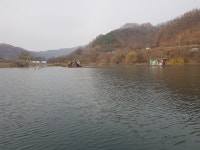 남한강낚시 통신원속보 > 하천낚시터 월척 마릿수 조황 ~~~ : 낚시사랑