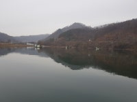 남한강낚시 통신원속보 > 하천낚시터 37cm 외 준 월척 조황입니다. : 낚시사랑