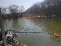 음성대호낚시 통신원속보 > 음성권 내곡지, 소류지 : 낚시사랑