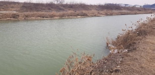 음성대호낚시 통신원속보 > 음성권 내곡지, 소류지 : 낚시사랑