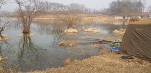 음성대호낚시 통신원속보 > 음성 내곡지 노지조황. : 낚시사랑