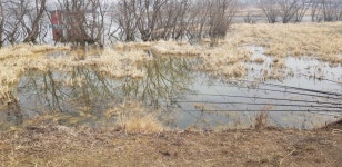음성대호낚시 통신원속보 > 음성 내곡지 노지조황. : 낚시사랑