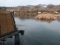 이박사낚시 통신원속보 > 이박사낚시 조황정보.. : 낚시사랑