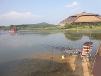 음성대호낚시 통신원속보 > 음성 내곡지 : 낚시사랑